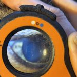 Lumio device focused on a cat’s eye during a veterinary diagnostic procedure