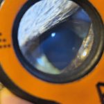 Magnified view of a cat’s eye during a veterinary exam using the Lumio diagnostic tool.