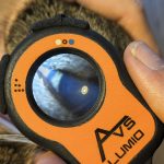 Lumio device illuminating a cat’s eye under white light, revealing the crystalline lens during a veterinary exam