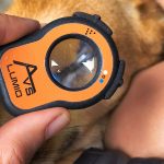 Close-up of Lumio device being used on a dog's eye during a veterinary exam